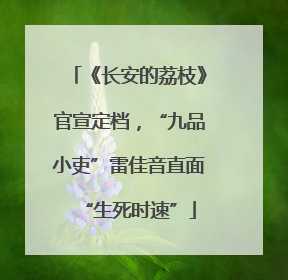 《长安的荔枝》官宣定档，“九品小吏”雷佳音直面“生死时速”