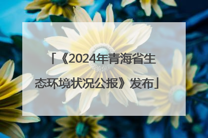《2024年青海省生态环境状况公报》发布