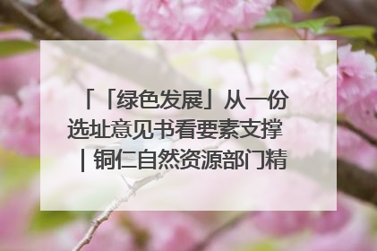 「绿色发展」从一份选址意见书看要素支撑｜铜仁自然资源部门精准服务助力项目落地
