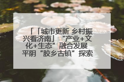 「城市更新 乡村振兴看济南」“产业+文化+生态”融合发展 平阴“胶乡古镇”探索振兴路径成效显著