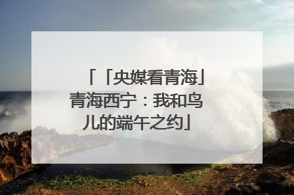 「央媒看青海」青海西宁：我和鸟儿的端午之约