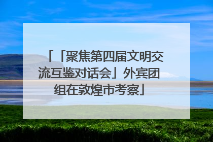 「聚焦第四届文明交流互鉴对话会」外宾团组在敦煌市考察
