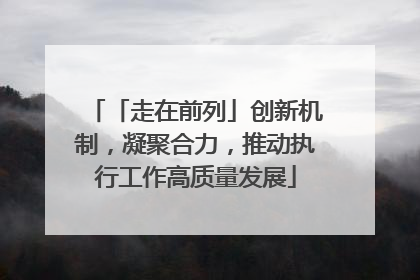 「走在前列」创新机制，凝聚合力，推动执行工作高质量发展
