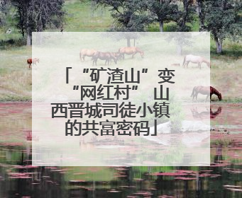 “矿渣山”变“网红村” 山西晋城司徒小镇的共富密码