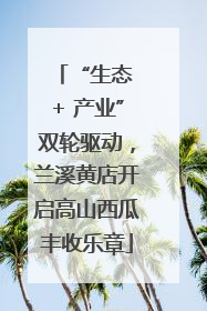 “生态 + 产业”双轮驱动，兰溪黄店开启高山西瓜丰收乐章