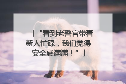 “看到老警官带着新人忙碌，我们觉得安全感满满！”