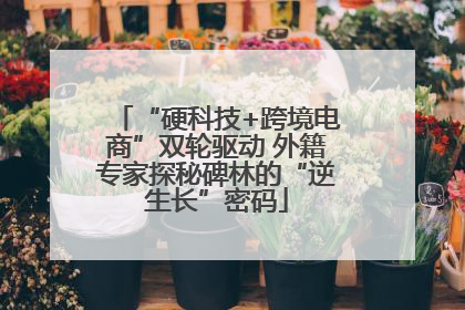 “硬科技+跨境电商”双轮驱动 外籍专家探秘碑林的“逆生长”密码