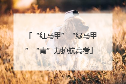 “红马甲”“绿马甲”“青”力护航高考