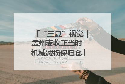 “三夏”视觉｜孟州麦收正当时 机械减损保归仓