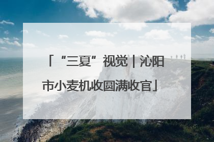 “三夏”视觉｜沁阳市小麦机收圆满收官