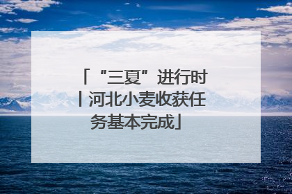 “三夏”进行时丨河北小麦收获任务基本完成