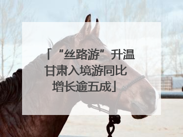 “丝路游”升温 甘肃入境游同比增长逾五成