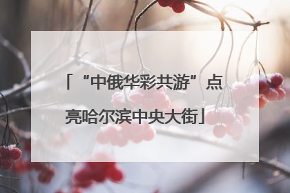 “中俄华彩共游”点亮哈尔滨中央大街