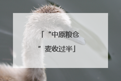“中原粮仓”麦收过半