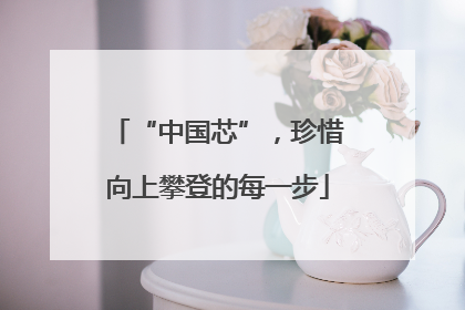 “中国芯”，珍惜向上攀登的每一步