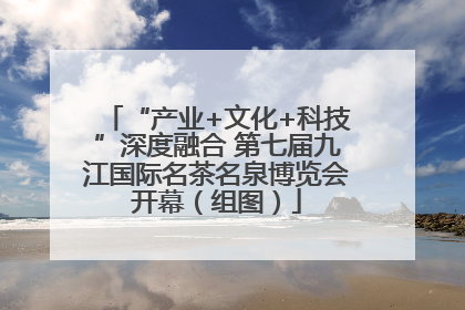 “产业+文化+科技”深度融合 第七届九江国际名茶名泉博览会开幕（组图）