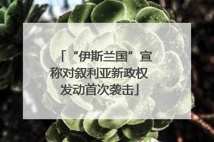 “伊斯兰国”宣称对叙利亚新政权发动首次袭击