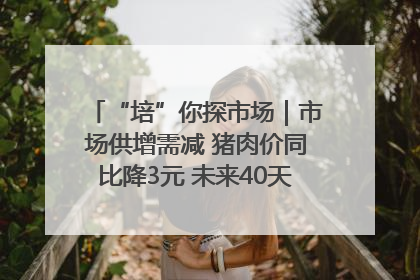 “培”你探市场｜市场供增需减 猪肉价同比降3元 未来40天便宜猪肉敞开吃
