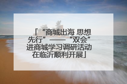 “商城出海 思想先行”——“双会”进商城学习调研活动在临沂顺利开展