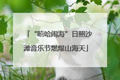 “嘻哈闹海”日照沙滩音乐节燃爆山海天