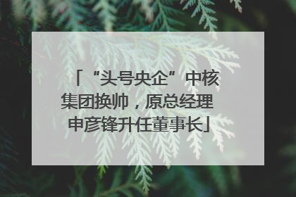 “头号央企”中核集团换帅，原总经理申彦锋升任董事长