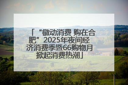 “徽动消费 购在合肥”2025年夜间经济消费季暨66购物月掀起消费热潮