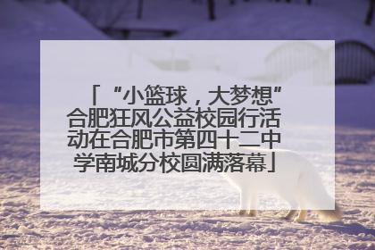 “小篮球，大梦想”合肥狂风公益校园行活动在合肥市第四十二中学南城分校圆满落幕
