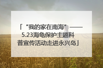 “我的家在南海”——5.23海龟保护主题科普宣传活动走进永兴岛