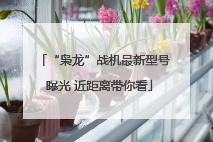 “枭龙”战机最新型号曝光 近距离带你看