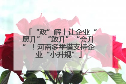 “政”解丨让企业“愿升”“敢升”“会升”！河南多举措支持企业“小升规”