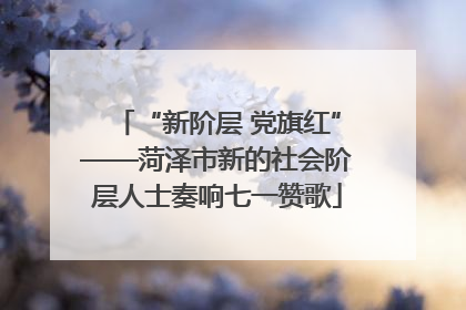 “新阶层 党旗红”——菏泽市新的社会阶层人士奏响七一赞歌