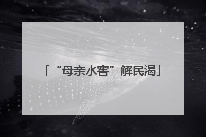“母亲水窖”解民渴