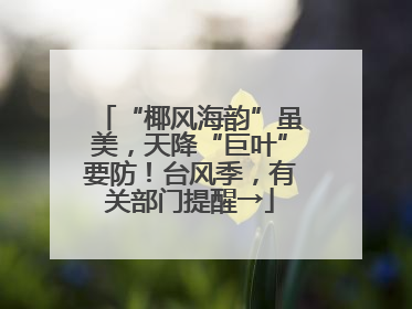 “椰风海韵”虽美，天降“巨叶”要防！台风季，有关部门提醒→