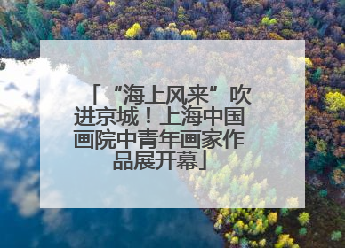 “海上风来”吹进京城！上海中国画院中青年画家作品展开幕