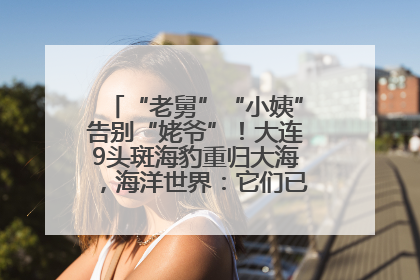 “老舅”“小姨”告别“姥爷”！大连9头斑海豹重归大海，海洋世界：它们已具备野外生存能力