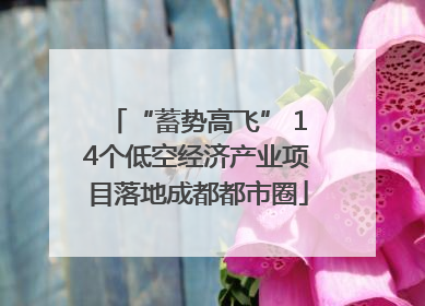 “蓄势高飞” 14个低空经济产业项目落地成都都市圈