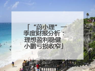 “蔚小理”一季度财报分析：理想盈利稳健 小鹏亏损收窄