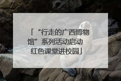 “行走的广西博物馆”系列活动启动 红色课堂进校园