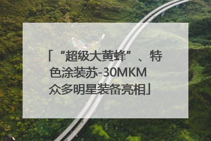 “超级大黄蜂”、特色涂装苏-30MKM 众多明星装备亮相