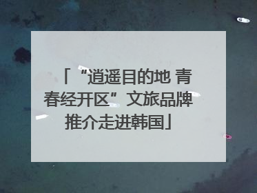 “逍遥目的地 青春经开区”文旅品牌推介走进韩国