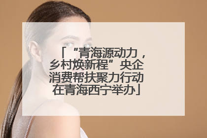 “青海源动力，乡村焕新程”央企消费帮扶聚力行动在青海西宁举办
