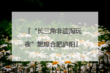 “长三角非遗淘玩夜”燃爆合肥庐阳