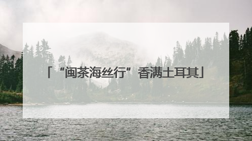 “闽茶海丝行”香满土耳其