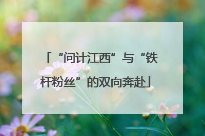 “问计江西”与“铁杆粉丝”的双向奔赴