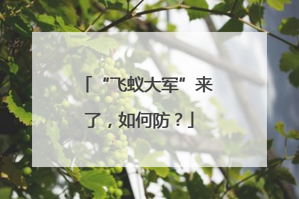 “飞蚁大军”来了，如何防？