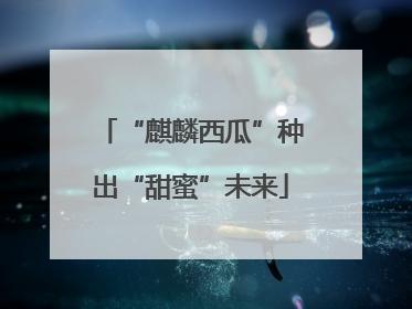 “麒麟西瓜”种出“甜蜜”未来