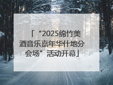 “2025绵竹美酒音乐嘉年华什地分会场”活动开幕