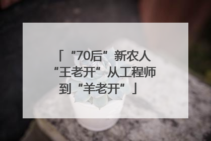 “70后”新农人“王老开”从工程师到“羊老开”
