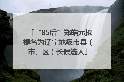“85后”郑皓元拟提名为辽宁地级市县（市、区）长候选人