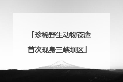 珍稀野生动物苍鹰首次现身三峡坝区